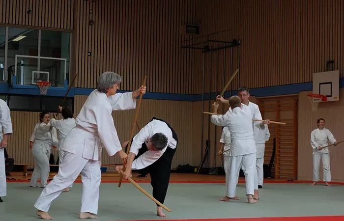 vfl-waldkraiburg-sportart-aikido-lehrgaenge